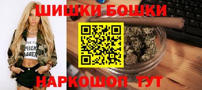 индика Новокубанск
