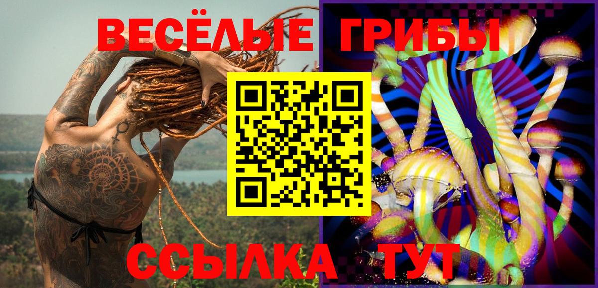 Галлюциногенные грибы мухоморы  Галлюциногенные грибы мухоморы  Вход с VPN  Сухой Лог 