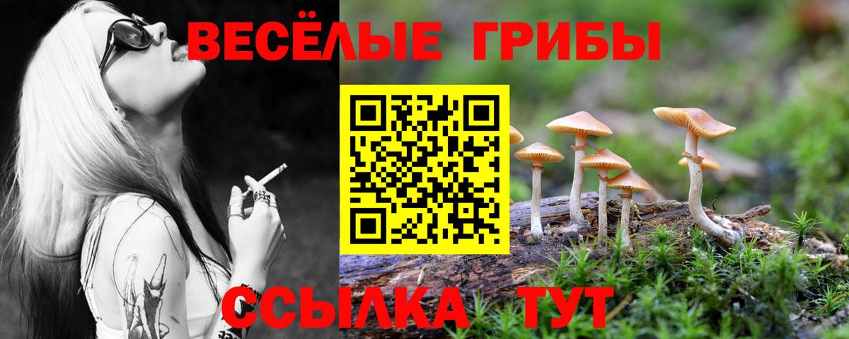 Псилоцибиновые грибы Psilocybine cubensis Сухой Лог
